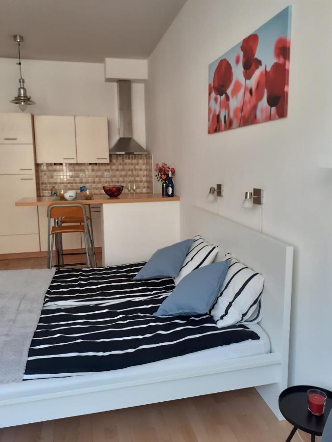 Central Belvedere Apartman Budapeşte Dış mekan fotoğraf